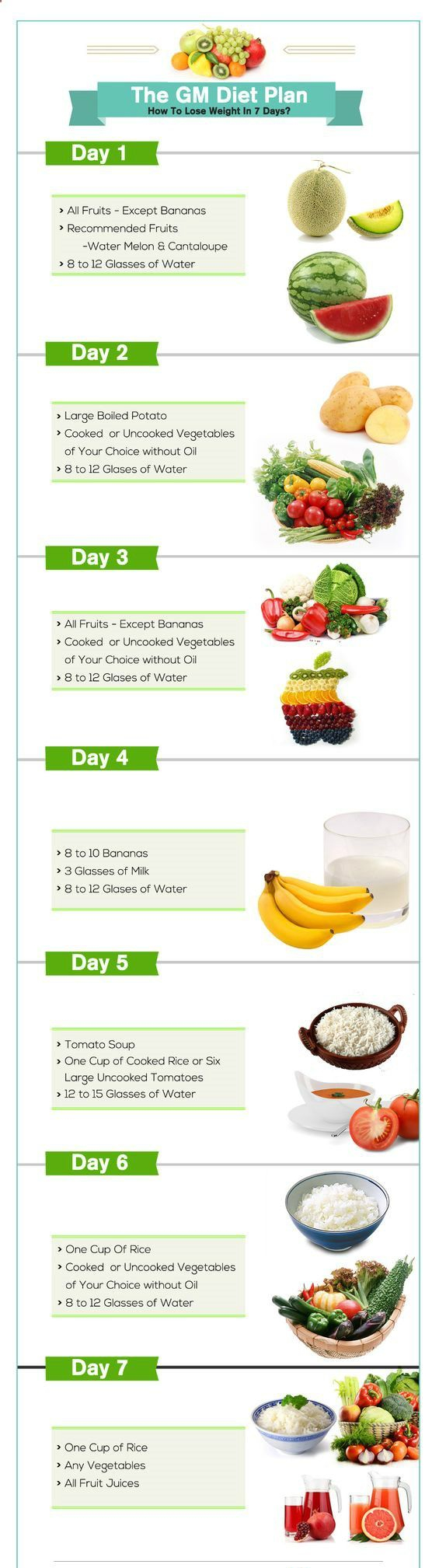 printable-gm-diet-plan-printabledietplan