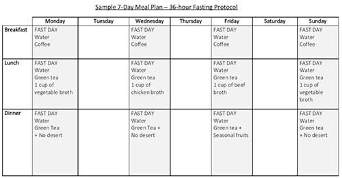 Obesity Code Meal Plan Printable PDF Meal Planning 