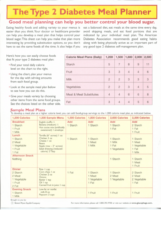 The Type 2 Diabetes Meal Planner Printable Pdf Download