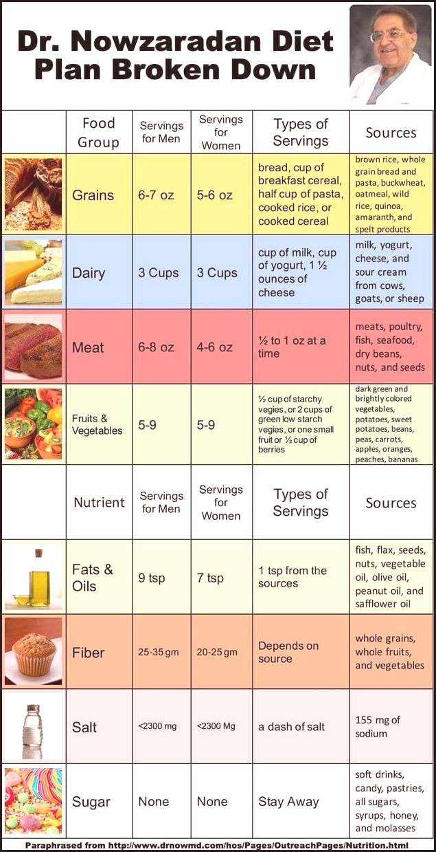 Dr Nowzaradan Diet Plan Printable