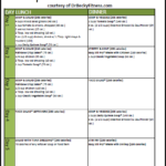 Calorie Diet And Meal Plan Eat This Much 500 Calorie A