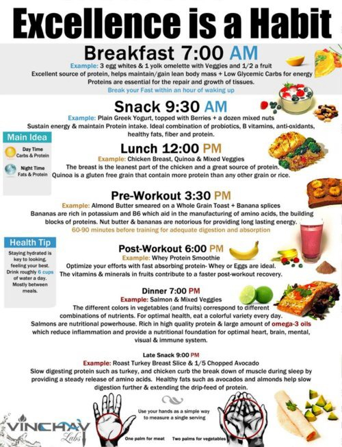 Daily Meal Plan To Lose Weight Fast Musely