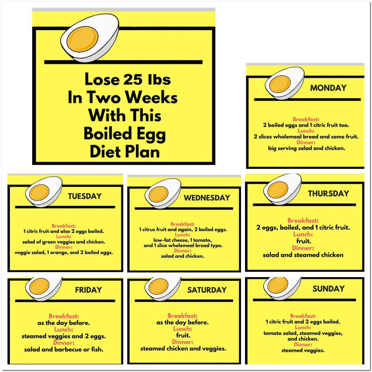 28 Day Egg Diet Printable