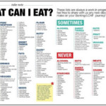 The Ketogenic Diet Pdf Diet Plan