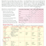 The Type 2 Diabetes Meal Planner Printable Pdf Download