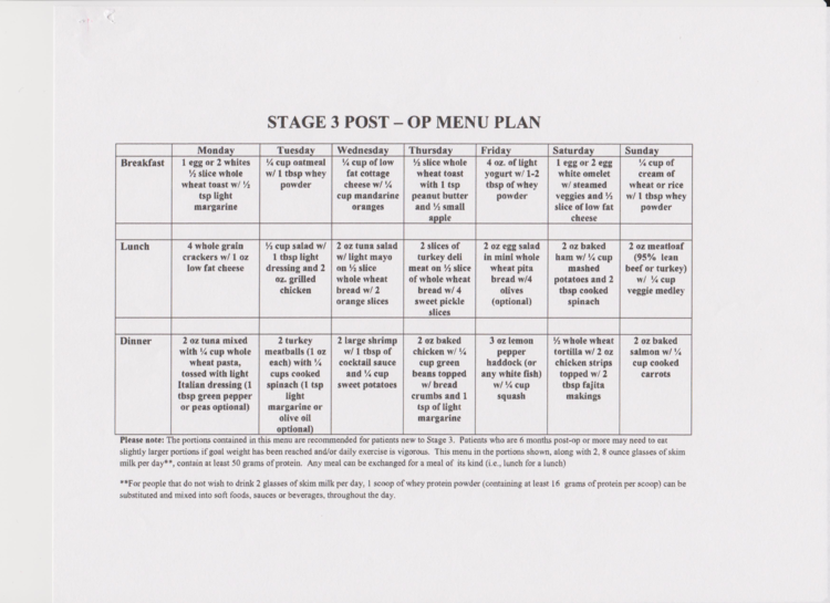 Bariatric Meal Plan Natural Or Nothing Bariatric 