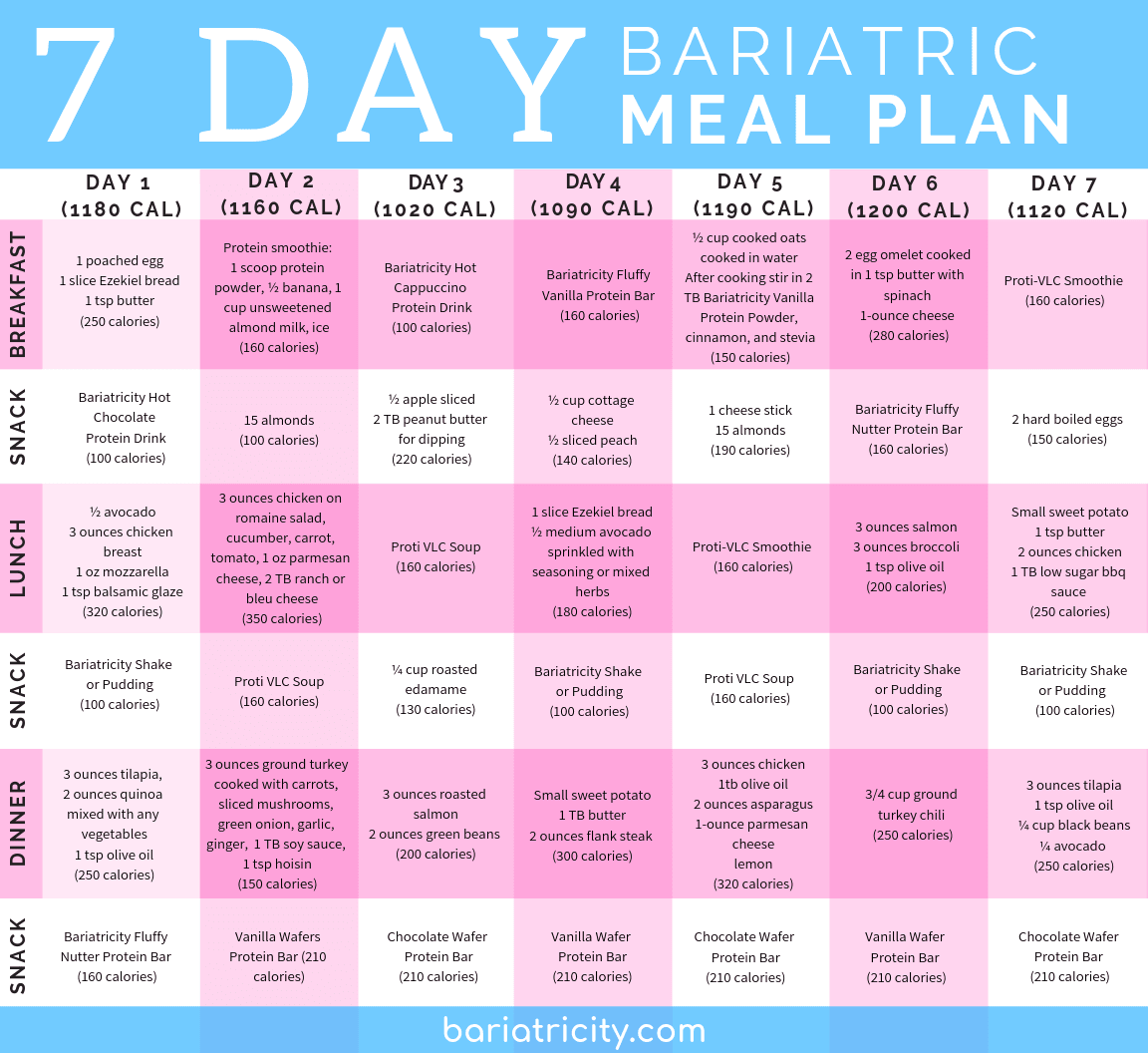 Bariatric Meal Planning Guide 7 Day Sample Meal Plan
