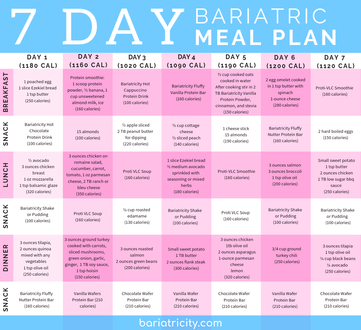 Bariatric Meal Planning Guide 7 Day Sample Meal Plan 