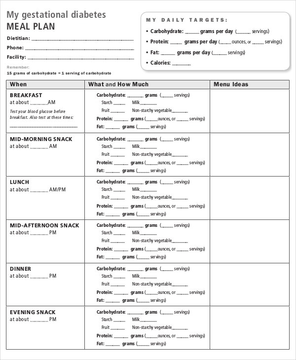 Meal Plan Template 22 Free Word PDF PSD Vector 