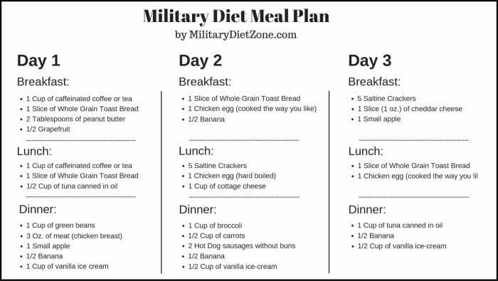 Recipe Momma MILITARY DIET MEAL PLAN