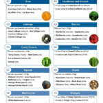 High Fiber Diet Food List Diet Plan