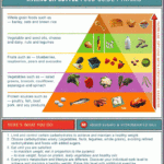 Printable Version Of The Atkins Diet Food Pyramid