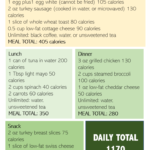 Sample Dr Now Meal Plan 1200 Calorie Diet Plan Low