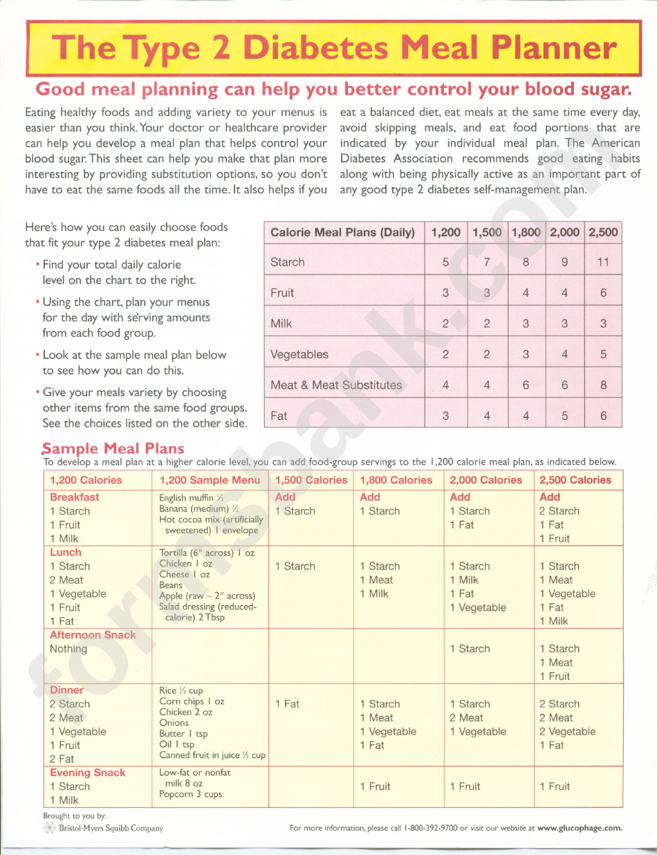 The Type 2 Diabetes Meal Planner Printable Pdf Download