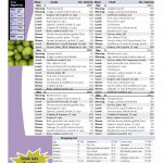 1400 Calorie Meal Plan Printable PrintableDietPlan