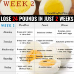 2 Week Boiled Egg Diet Pdf DietWalls