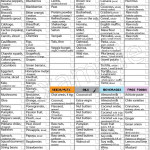 21 Day Meal Plan For Vegan Diet 1500 Calories Tracker Meal