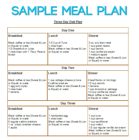 3 Day Diet Meal Plan Printable | PrintableDietPlan.com