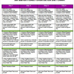 53 Printable South Beach Diet Phase 1 Meal Plan Pdf In