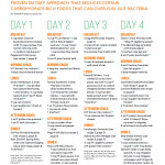 Daily Fodmap Meal Plan Chart Printable Graphics