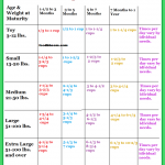 Dog Diet Chart And Schedule Puppy Feeding Schedule