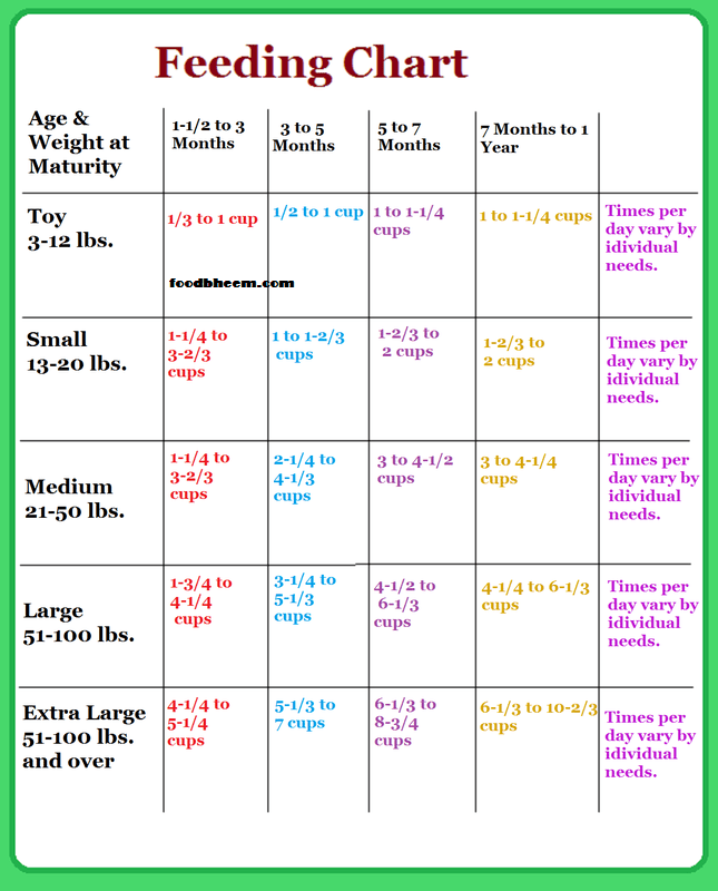 Dog Diet Chart And Schedule Puppy Feeding Schedule 