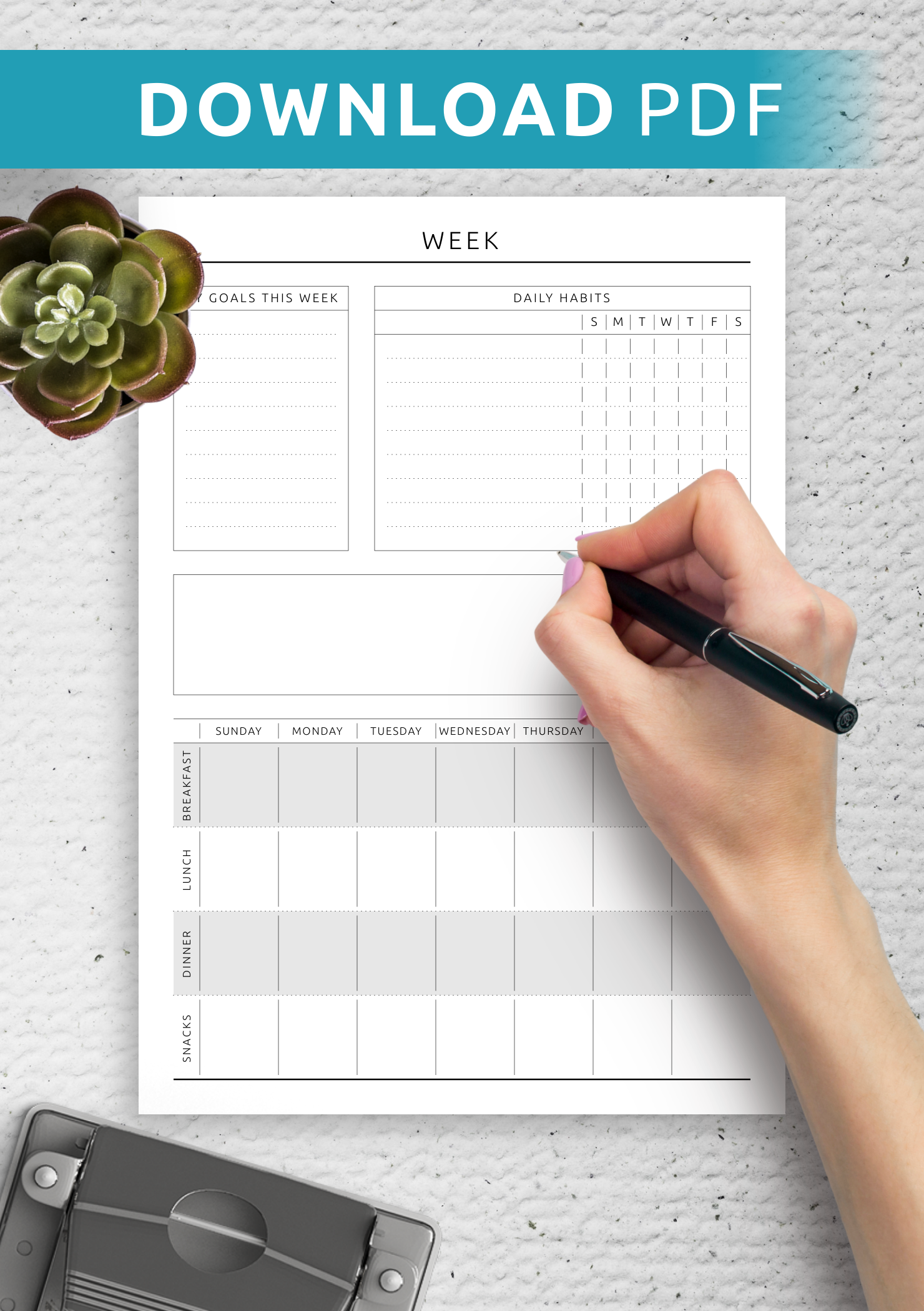 Download Printable Weekly Fitness And Meal Plan Template PDF