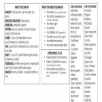 Dr Oz s Two Week Rapid Weight Loss Plan Musely