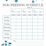 Free Printable Feeding Schedule To Track Your Dog s Food