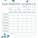 Free Printable Feeding Schedule To Track Your Dog s Food