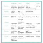 Keto Sample Menu Plan 7 Day Plan free Printable keto