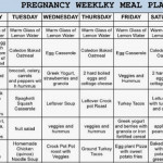 Meal Plan For Pregnant Woman Free Real Tits