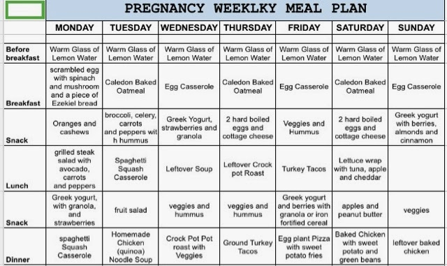 Meal Plan For Pregnant Woman Free Real Tits