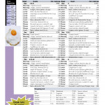 Paleo Diet 10 Day 1800 Calorie Meal Plan Free Download