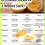 The Hard Boiled Egg Diet 2 Week Plan Hard Boiled Eggs
