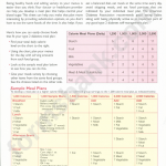 The Type 2 Diabetes Meal Planner Printable Pdf Download