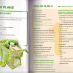 Tosca Reno s Cooler Plan 1 Clean Eating Plans Clean