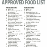 Approved Food List Carbs dietworkout In 2020 Fitness