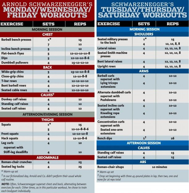 Arnold Schwarzenegger Diet Plan And Workout PrintableDietPlan
