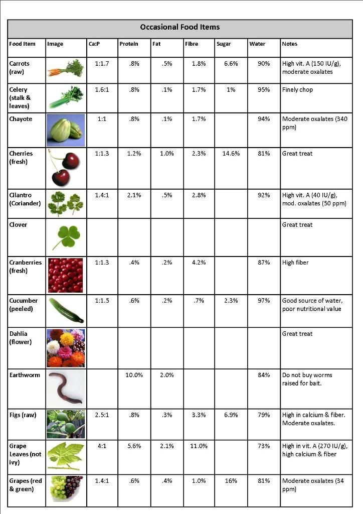 Bearded Dragon Food Chart Bearded Dragon Diet Bearded 