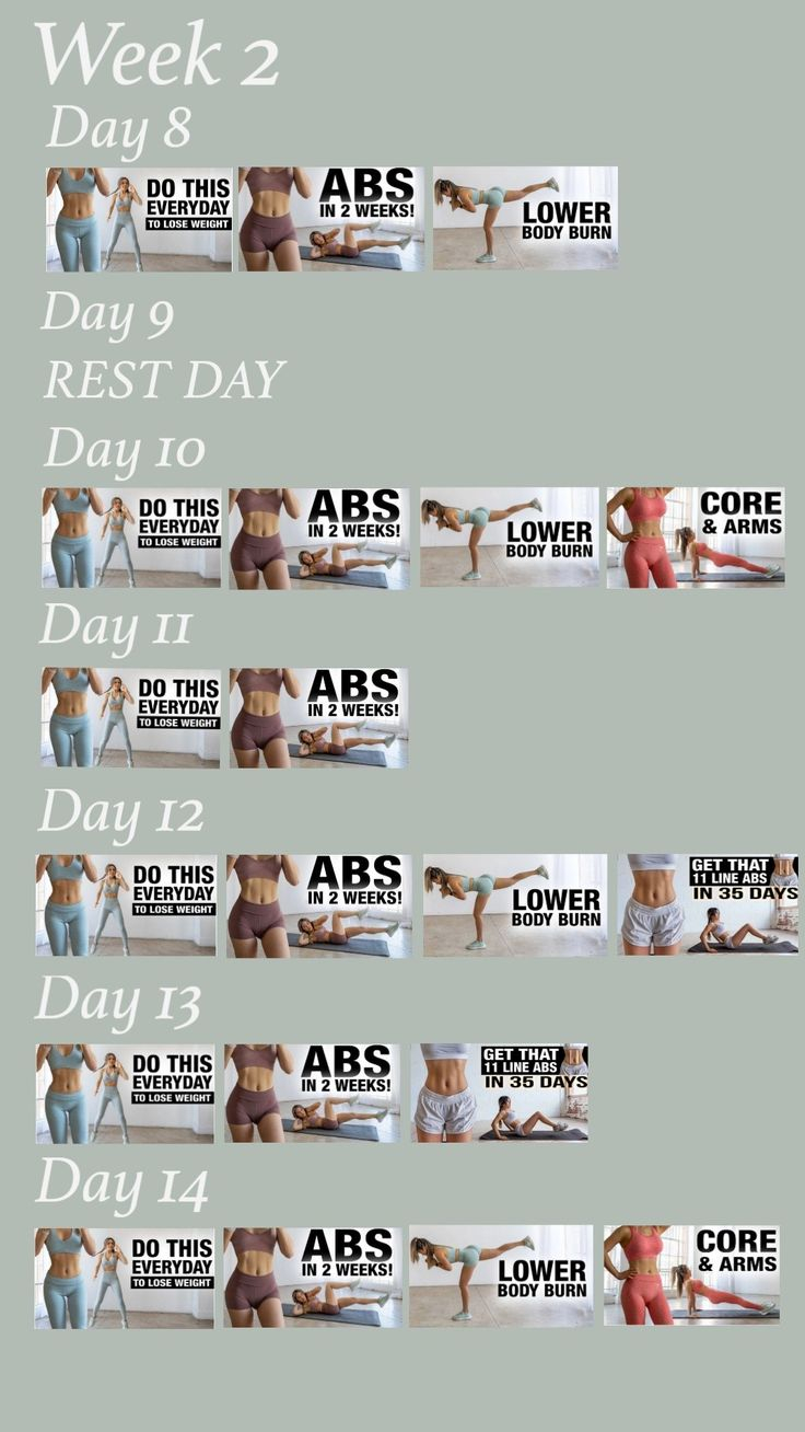 Chloe Ting Workout Plan Shred Workout Weight Workout 