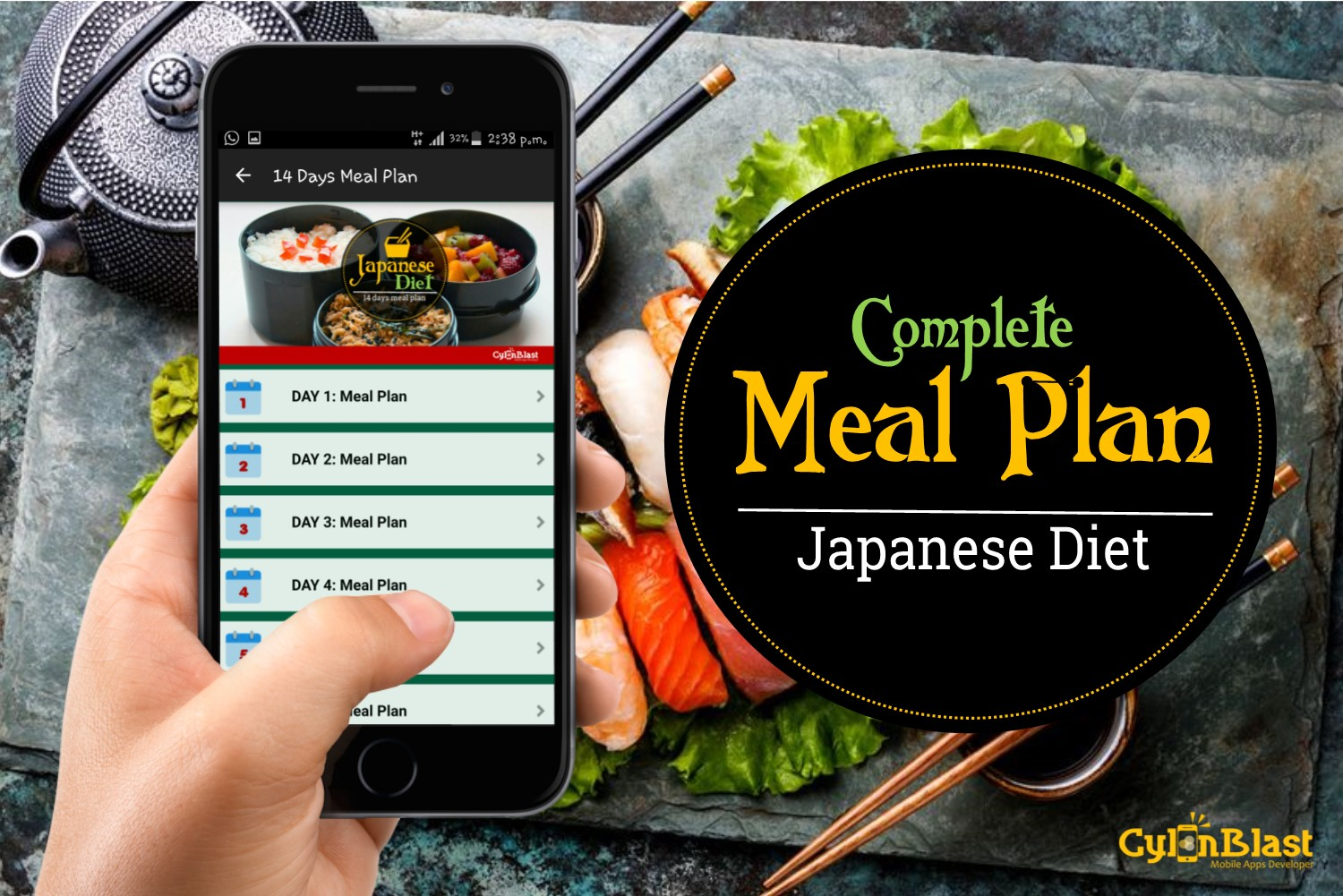 Cylonblast 14 DAYS JAPANESE DIET MEAL PLAN