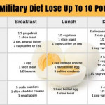 Diet Plan To Lose Belly Fat In 2 Weeks Pdf Diet Plan