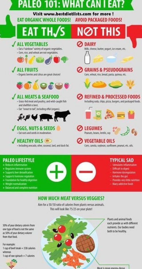 French Recipes Paleo Beginners Paleo Diet For Beginners 