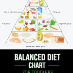 How Much Food Should A Baby Eat Balanced Diet Chart