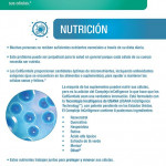 Infograf a Los USANA CellSentials What s Up USANA