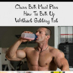 Pin On Clean Bulk Meal Plan