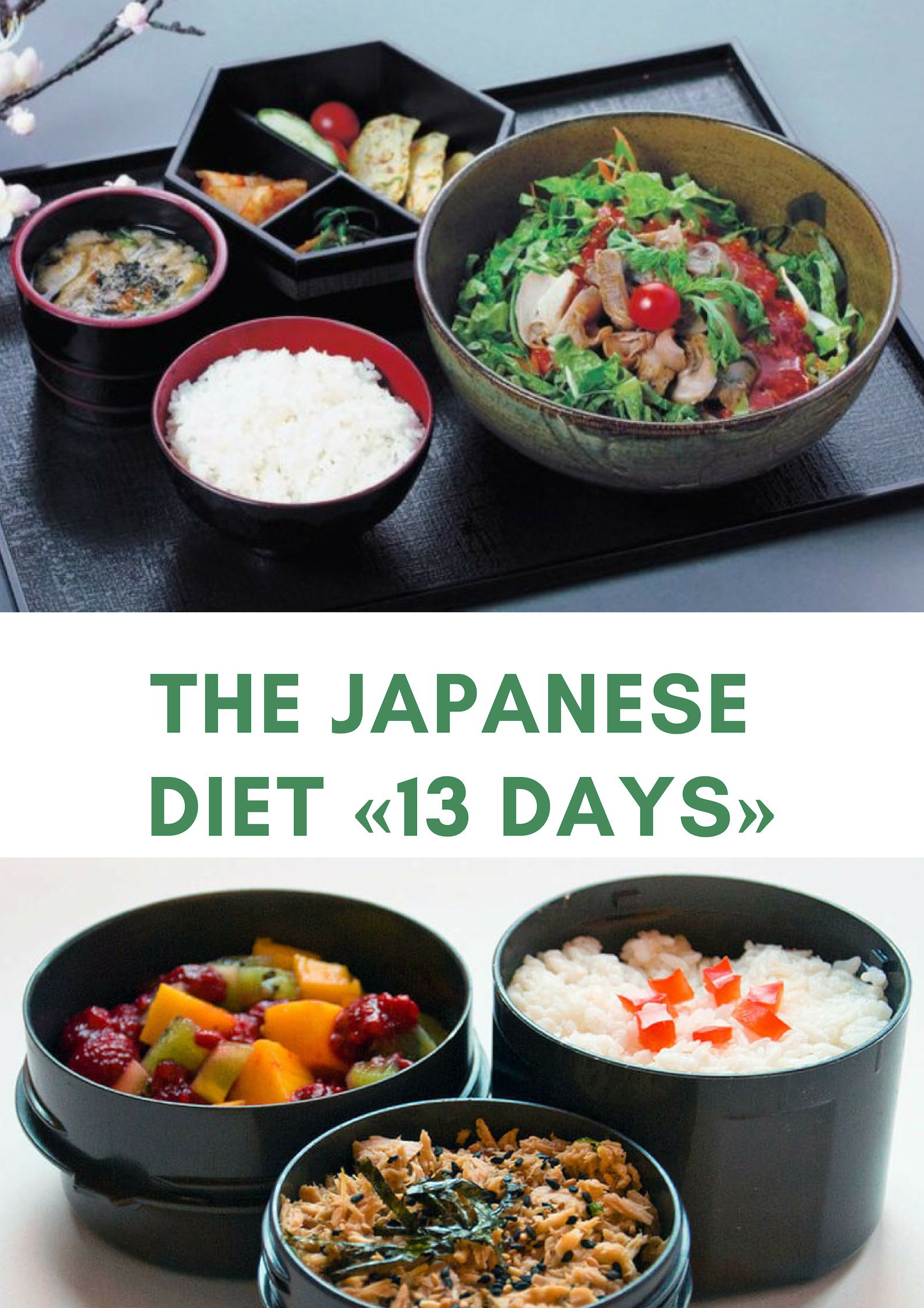 Japanese Diet Plan Pdf PrintableDietPlan