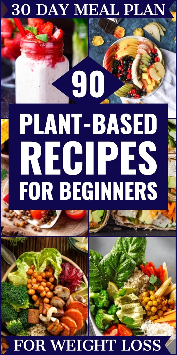 Plant Based Diet Meal Plan For Beginners 90 Plant Based