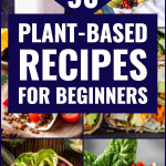 Plant Based Diet Meal Plan For Beginners 90 Plant Based
